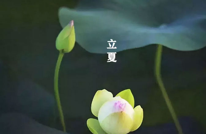 大白管業(yè)：立夏你好，夏天你好！