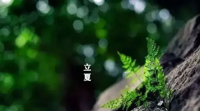 大白管業(yè)：立夏你好，夏天你好！