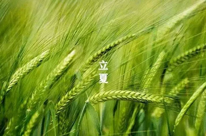 大白管業(yè)：立夏你好，夏天你好！