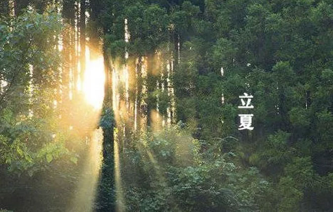 大白管業(yè)：立夏你好，夏天你好！